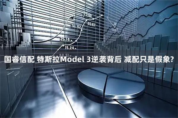 国睿信配 特斯拉Model 3逆袭背后 减配只是假象?