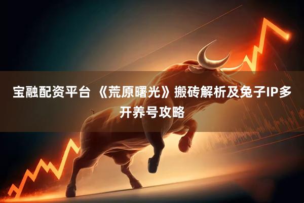 宝融配资平台 《荒原曙光》搬砖解析及兔子IP多开养号攻略