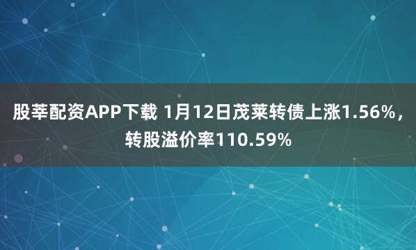 股莘配资APP下载 1月12日茂莱转债上涨1.56%，转股溢价率110.59%